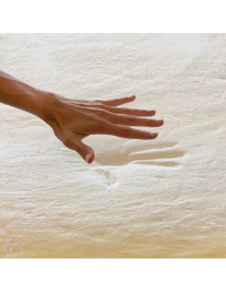 OREILLER BIOTEX MEMOTRADI : mousse à mémoire de forme à base d'huile de ricin végétale