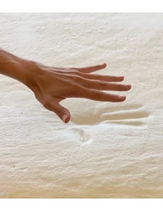 Oreiller MEMOTREFLE -... 2